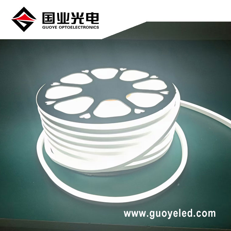 Led-neon-flex 220v